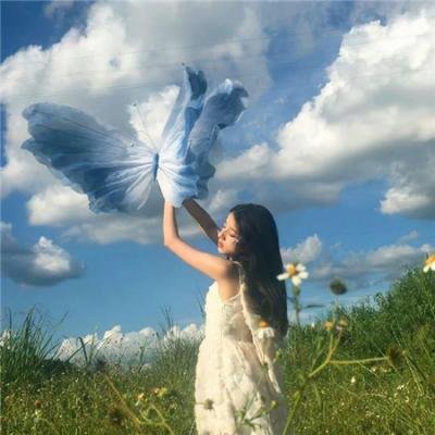 有很多蛋的公鸡
