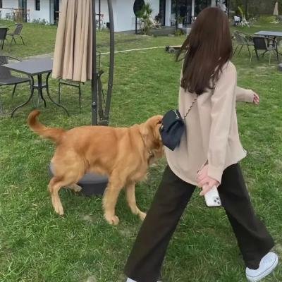 丧尸乐园:连环尸杀